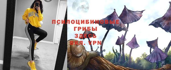 COCAINE Медвежьегорск