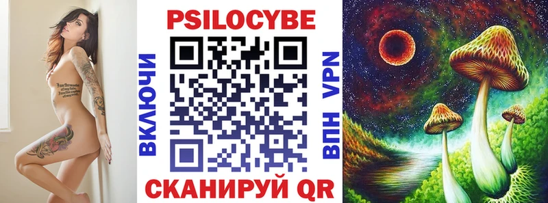 где купить наркоту  Нижняя Салда  Псилоцибиновые грибы Psilocybe 